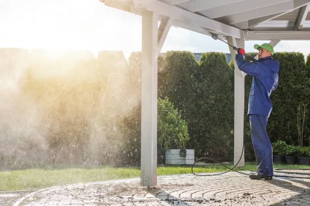 Best Soft Washing  in Freeport, PA